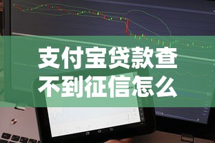 支付宝贷款查不到征信怎么办？正确应对方法全解析