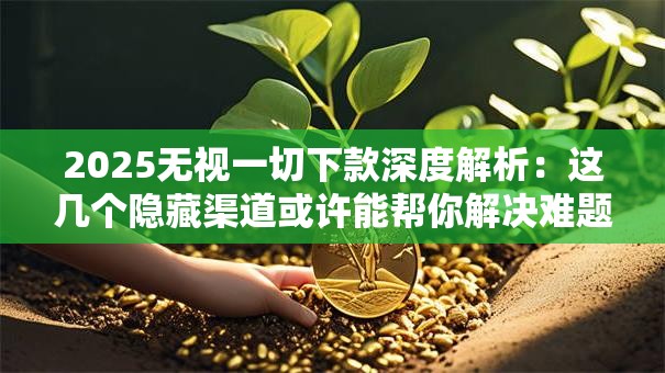 2025无视一切下款深度解析：这几个隐藏渠道或许能帮你解决难题！