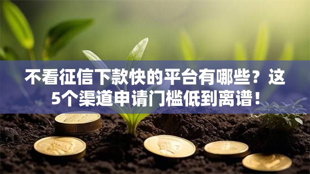 不看征信下款快的平台有哪些？这5个渠道申请门槛低到离谱！