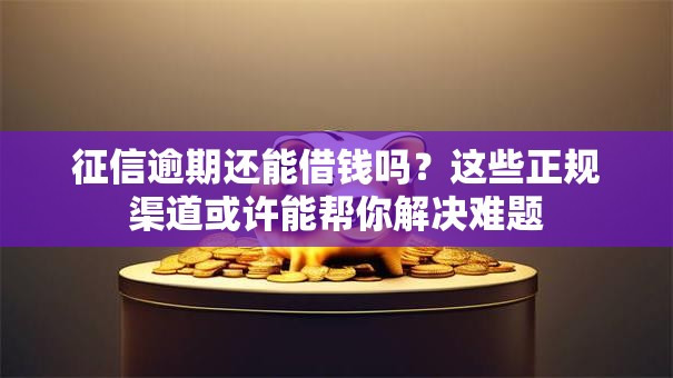 征信逾期还能借钱吗？这些正规渠道或许能帮你解决难题