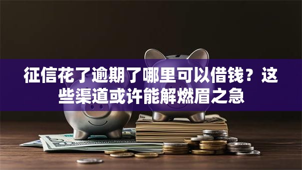 征信花了逾期了哪里可以借钱？这些渠道或许能解燃眉之急
