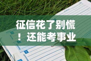 征信花了别慌！还能考事业编吗？这些补救方法要收好