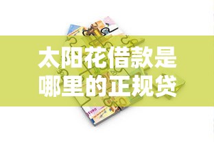 太阳花借款是哪里的正规贷款口子？真实评测+申请流程全解析