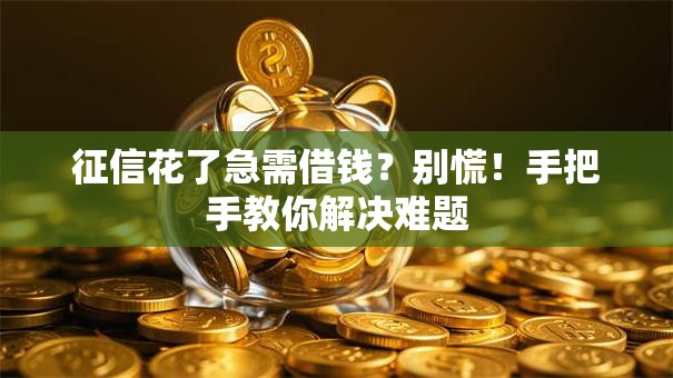 征信花了急需借钱？别慌！手把手教你解决难题