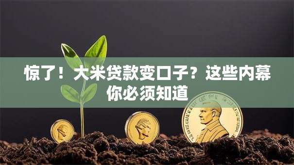 惊了！大米贷款变口子？这些内幕你必须知道