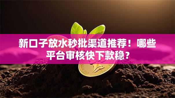 新口子放水秒批渠道推荐！哪些平台审核快下款稳？