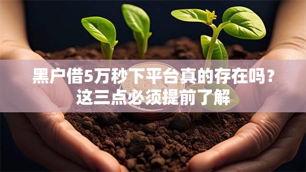 黑户借5万秒下平台真的存在吗？这三点必须提前了解