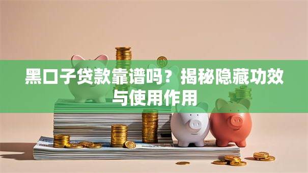 黑口子贷款靠谱吗？揭秘隐藏功效与使用作用