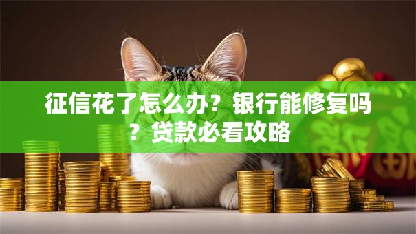 征信花了怎么办？银行能修复吗？贷款必看攻略