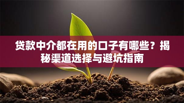 贷款中介都在用的口子有哪些？揭秘渠道选择与避坑指南