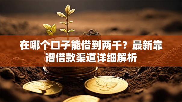 在哪个口子能借到两千？最新靠谱借款渠道详细解析