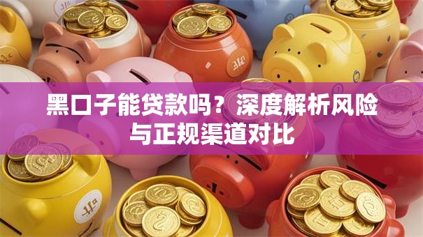黑口子能贷款吗？深度解析风险与正规渠道对比