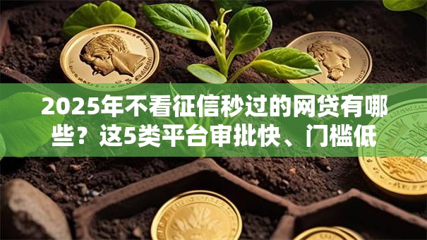 2025年不看征信秒过的网贷有哪些？这5类平台审批快、门槛低