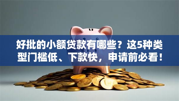 好批的小额贷款有哪些？这5种类型门槛低、下款快，申请前必看！