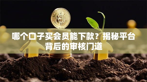 哪个口子买会员能下款？揭秘平台背后的审核门道