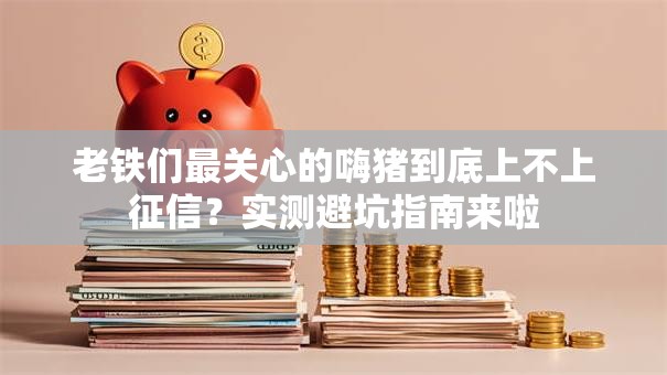 老铁们最关心的嗨猪到底上不上征信？实测避坑指南来啦