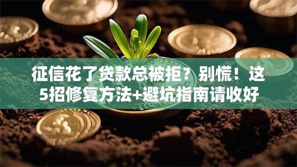 征信花了贷款总被拒？别慌！这5招修复方法+避坑指南请收好