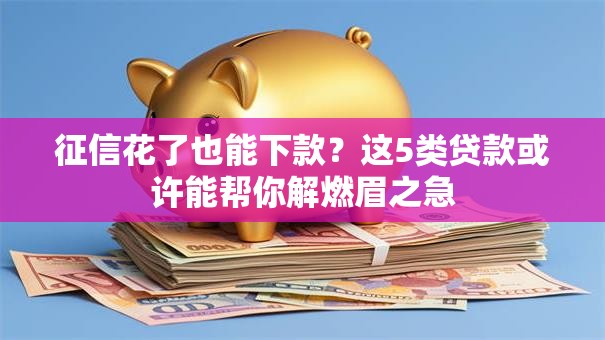 征信花了也能下款？这5类贷款或许能帮你解燃眉之急