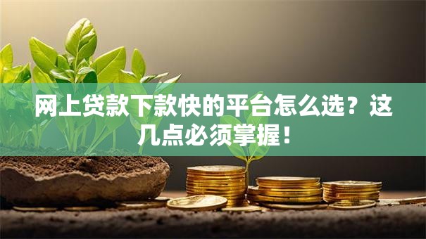 网上贷款下款快的平台怎么选？这几点必须掌握！