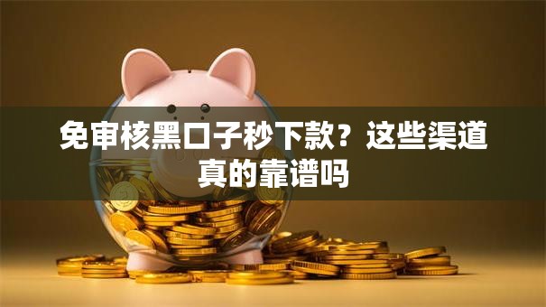 免审核黑口子秒下款？这些渠道真的靠谱吗