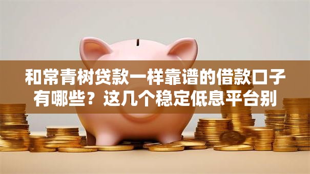 和常青树贷款一样靠谱的借款口子有哪些？这几个稳定低息平台别错过！