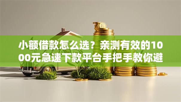 小额借款怎么选？亲测有效的1000元急速下款平台手把手教你避坑