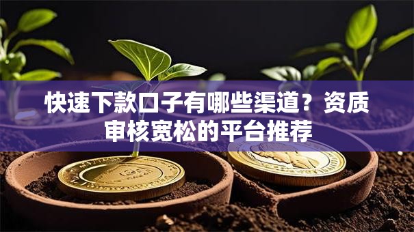 快速下款口子有哪些渠道？资质审核宽松的平台推荐