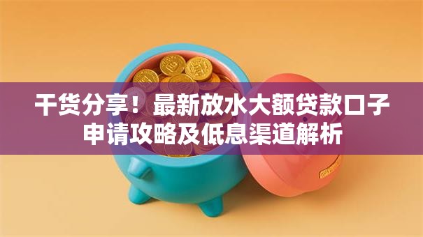 干货分享！最新放水大额贷款口子申请攻略及低息渠道解析