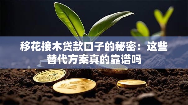 移花接木贷款口子的秘密：这些替代方案真的靠谱吗