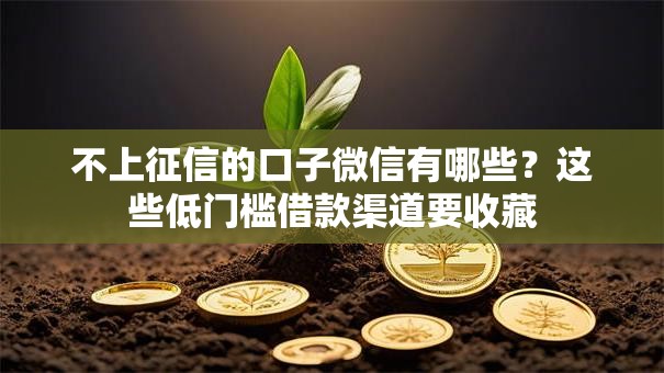 不上征信的口子微信有哪些？这些低门槛借款渠道要收藏