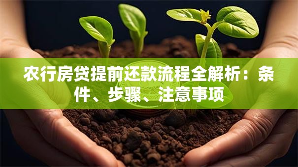 农行房贷提前还款流程全解析：条件、步骤、注意事项