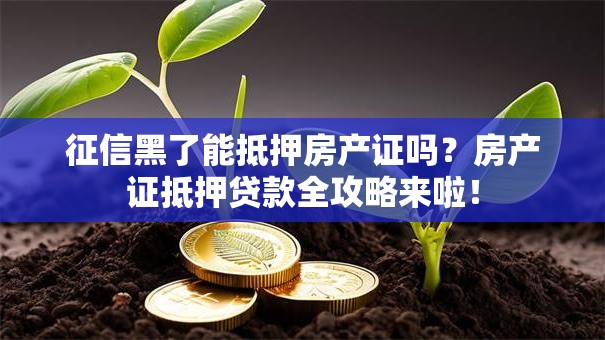 征信黑了能抵押房产证吗？房产证抵押贷款全攻略来啦！