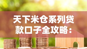 天下米仓系列贷款口子全攻略：额度解析与避坑技巧