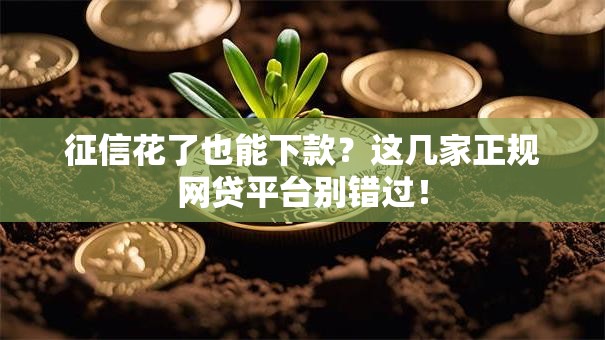 征信花了也能下款？这几家正规网贷平台别错过！