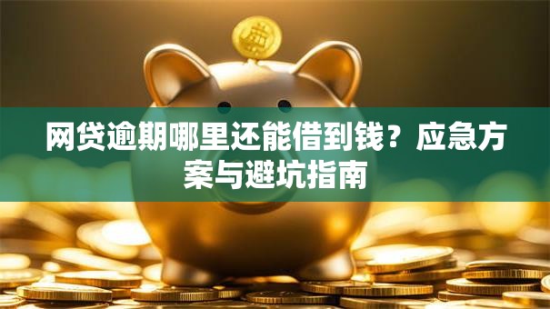 网贷逾期哪里还能借到钱？应急方案与避坑指南