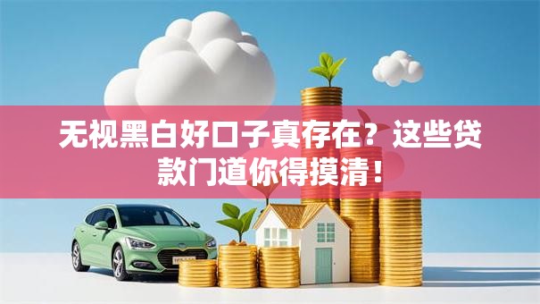 无视黑白好口子真存在？这些贷款门道你得摸清！