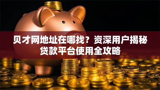 贝才网地址在哪找？资深用户揭秘贷款平台使用全攻略
