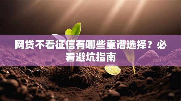 网贷不看征信有哪些靠谱选择？必看避坑指南