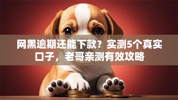 网黑逾期还能下款？实测5个真实口子，老哥亲测有效攻略