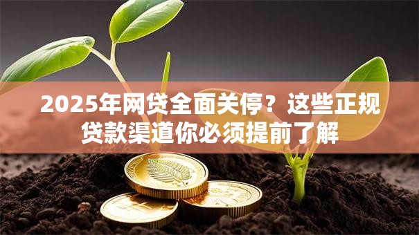 2025年网贷全面关停？这些正规贷款渠道你必须提前了解