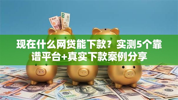 现在什么网贷能下款？实测5个靠谱平台+真实下款案例分享