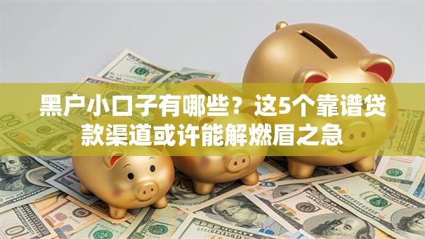 黑户小口子有哪些？这5个靠谱贷款渠道或许能解燃眉之急