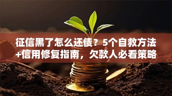 征信黑了怎么还债？5个自救方法+信用修复指南，欠款人必看策略