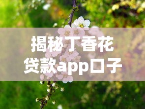 揭秘丁香花贷款app口子位置，手把手教你找到正规借款渠道