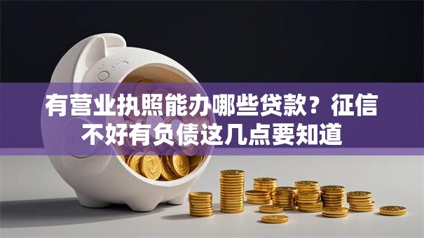 有营业执照能办哪些贷款？征信不好有负债这几点要知道