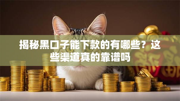 揭秘黑口子能下款的有哪些？这些渠道真的靠谱吗