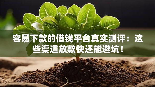 容易下款的借钱平台真实测评：这些渠道放款快还能避坑！