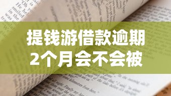 提钱游借款逾期2个月会不会被起诉？真实情况解析与应对建议