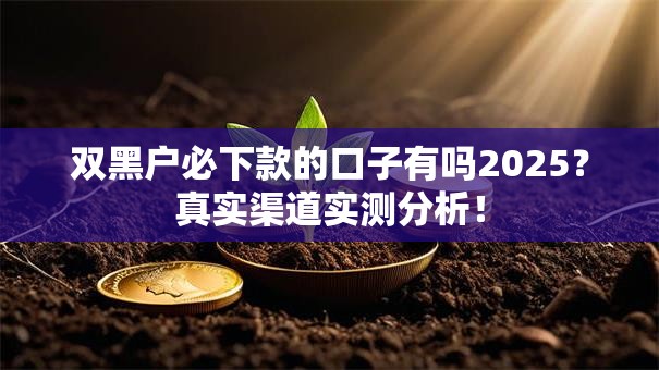 双黑户必下款的口子有吗2025？真实渠道实测分析！