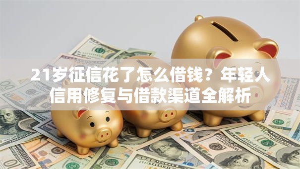 21岁征信花了怎么借钱？年轻人信用修复与借款渠道全解析